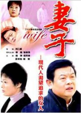妻子2004[电影解说]海报