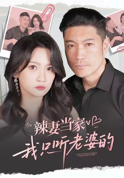 辣妻当家，我只听老婆的海报