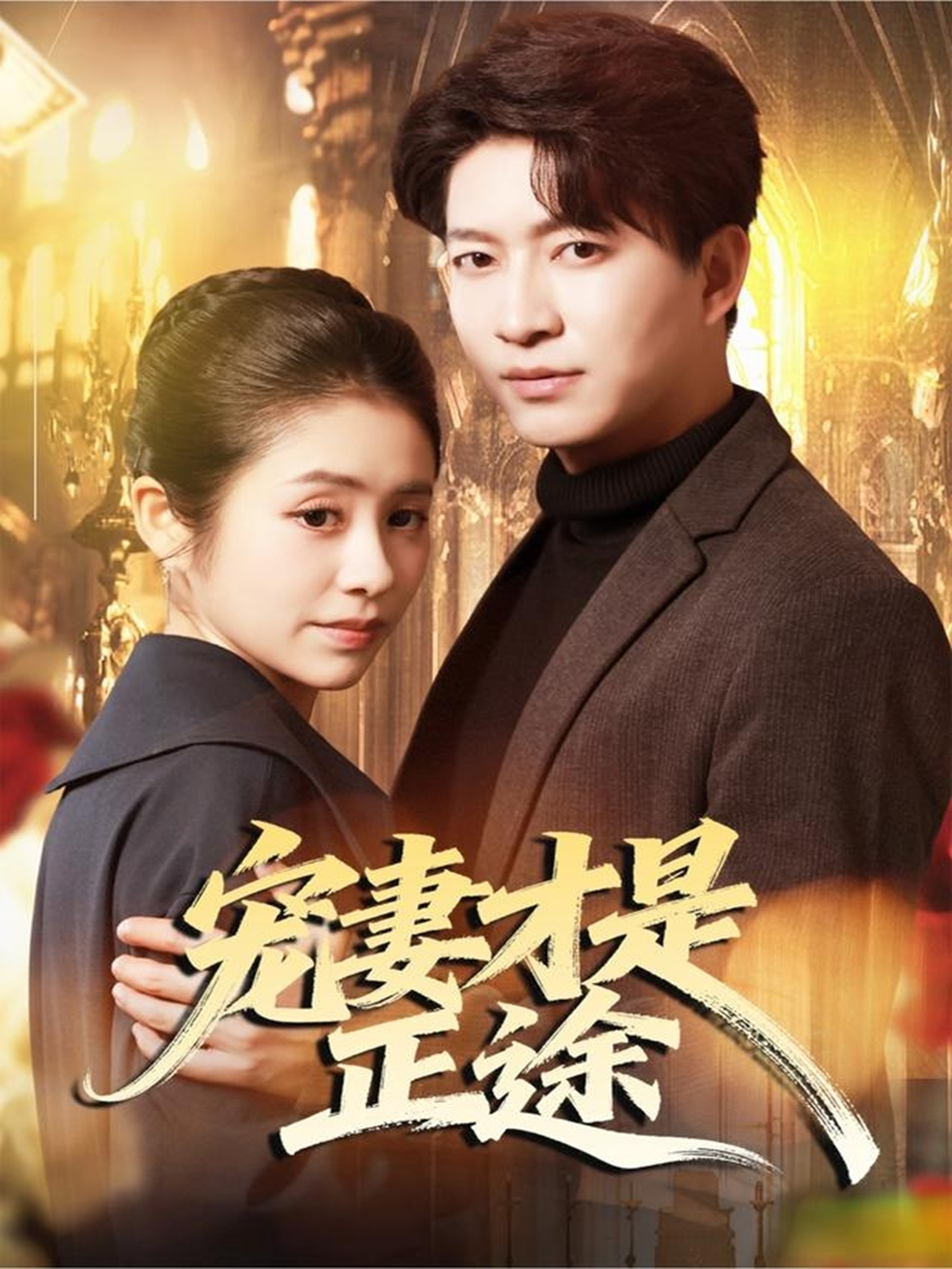 宠妻才是正途海报