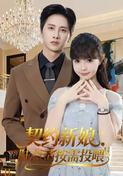 契约新娘：陆总请按需投喂海报