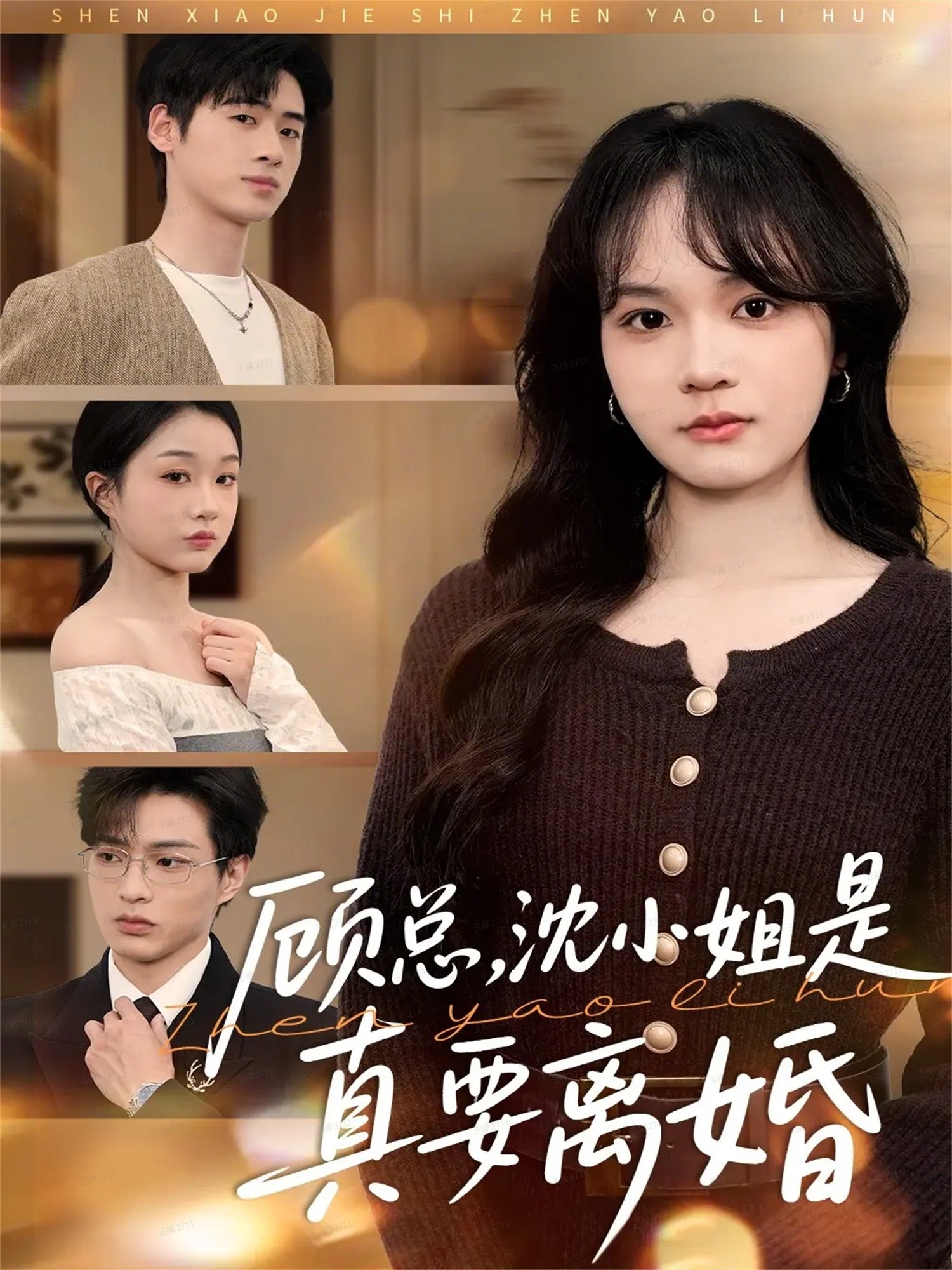 顾总，沈小姐是真的要离婚海报