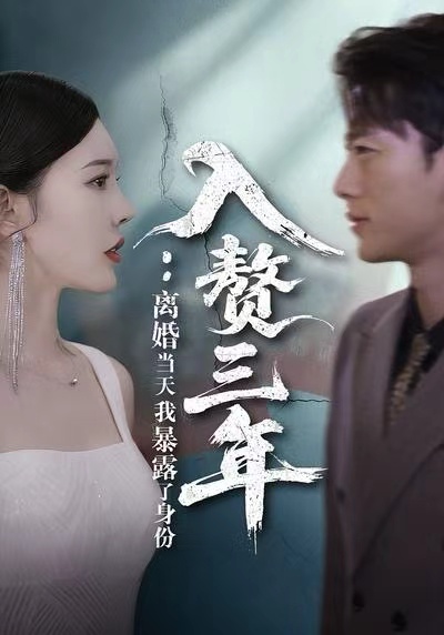 入赘三年：离婚当天我暴露了身份海报