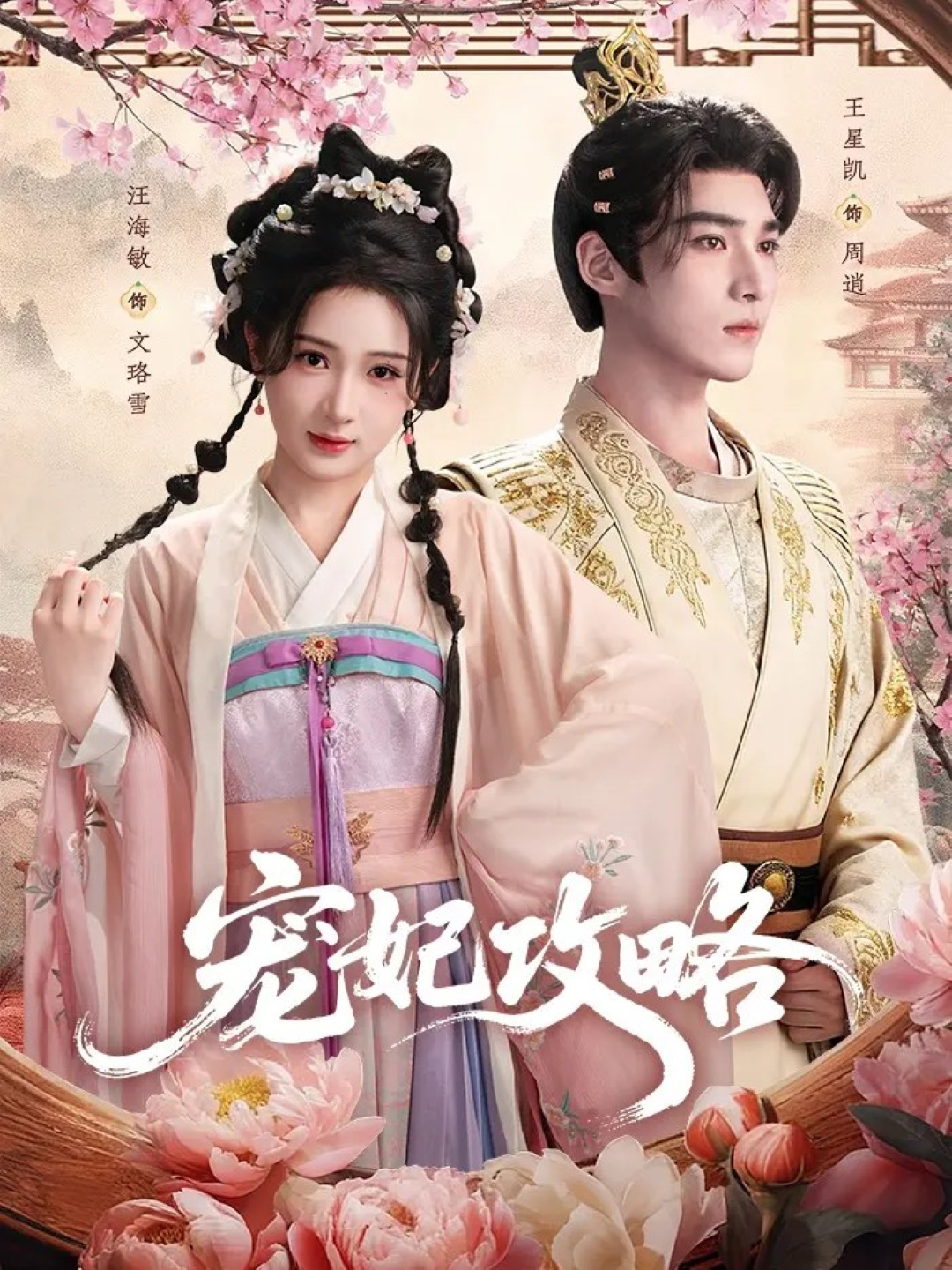 宠妃攻略海报