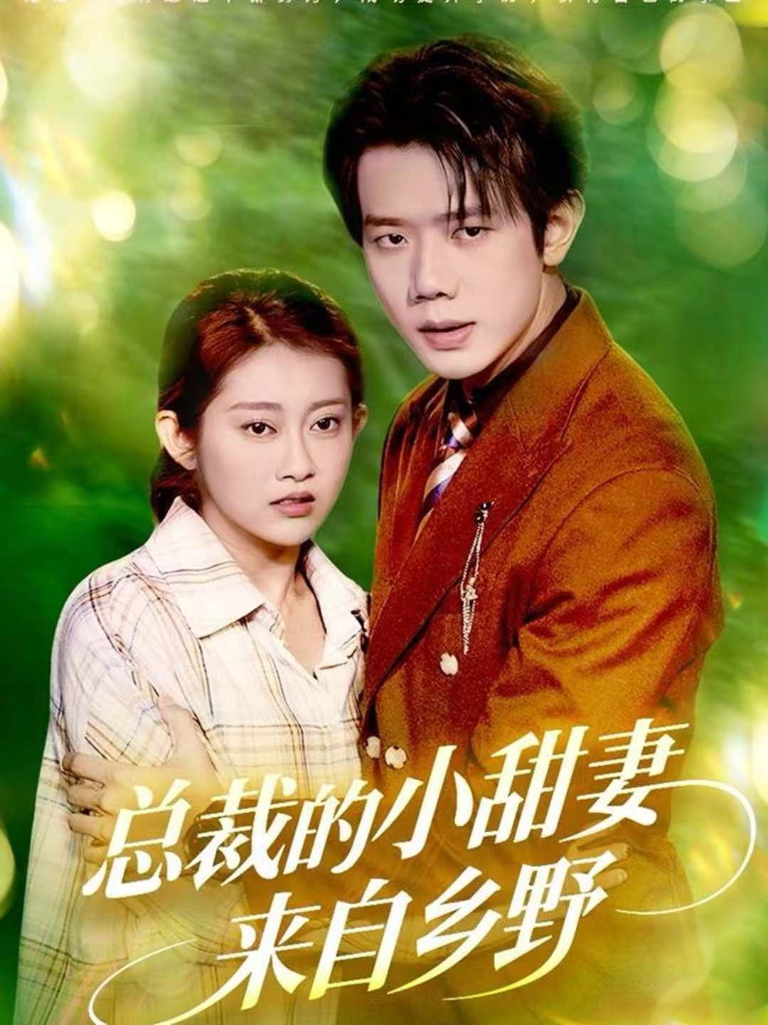 总裁的小甜妻来自乡野海报