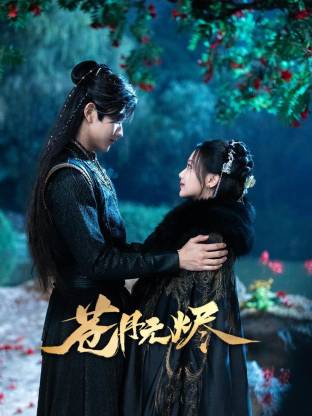苍月无烬海报