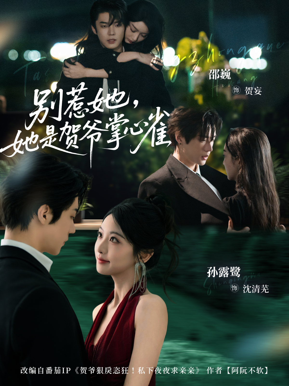 别惹她，她是贺爷掌心雀海报