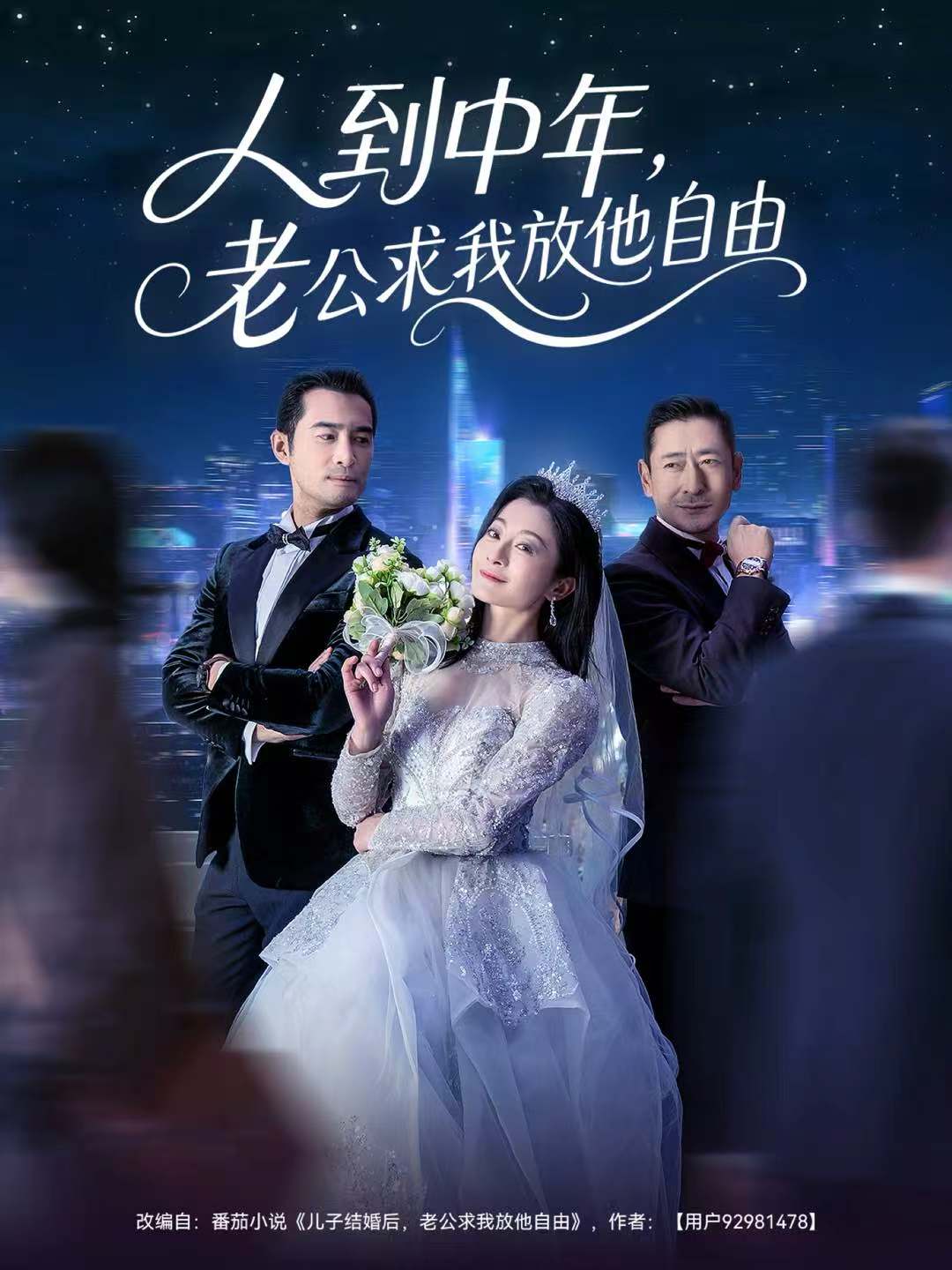 人到中年，老公求我放他自由海报