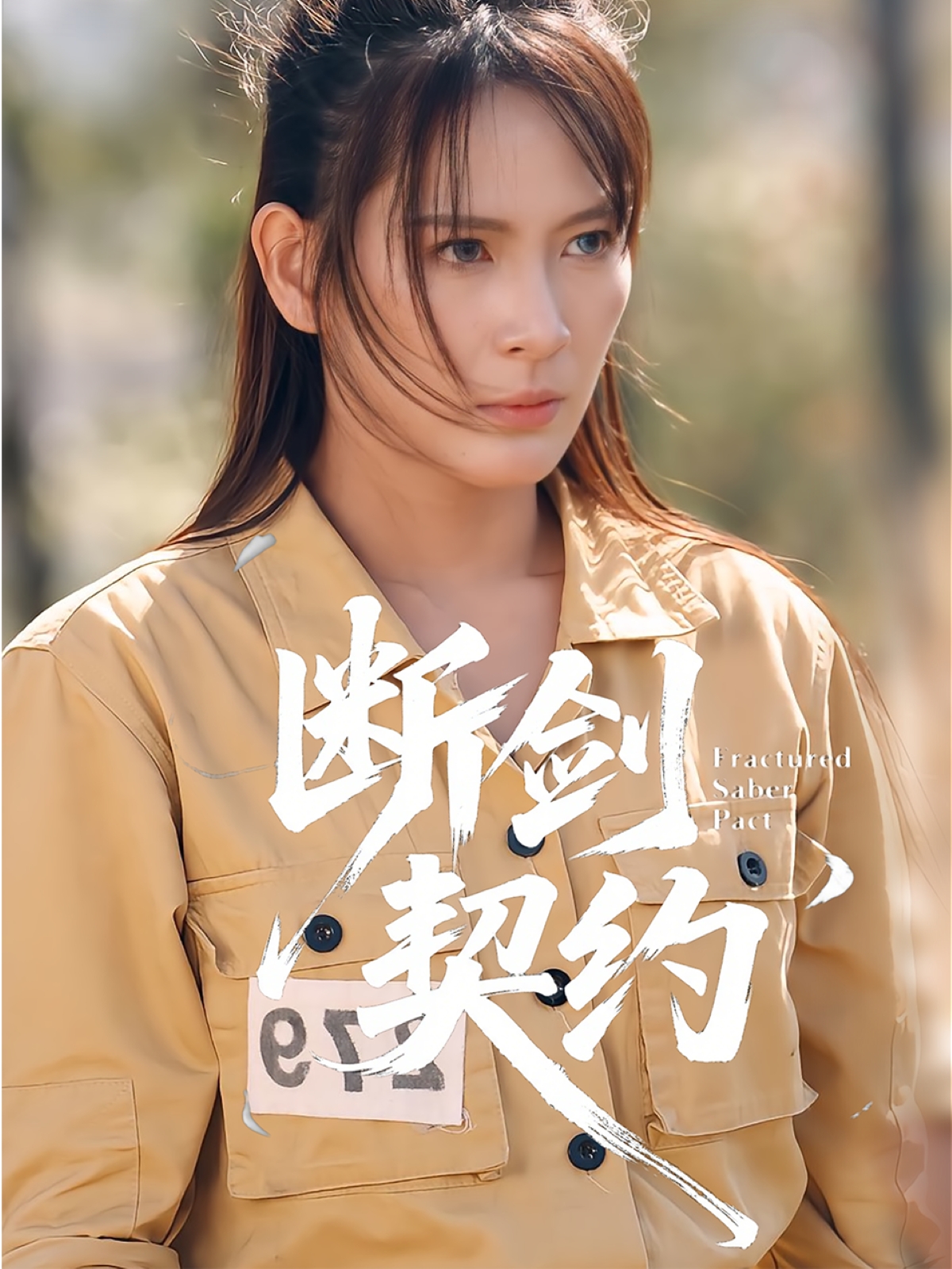 断剑契约海报