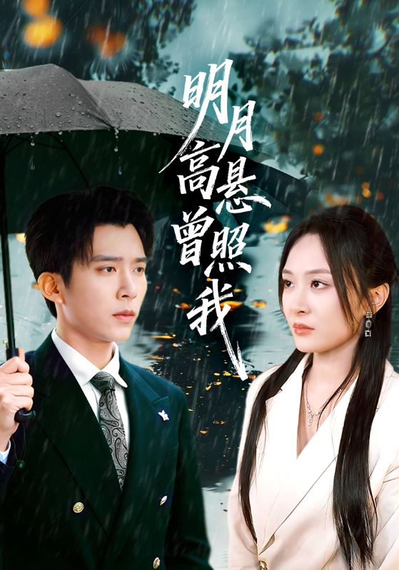 明月高悬曾照我海报