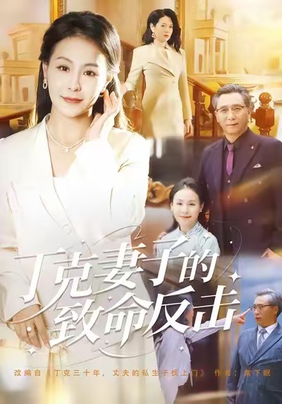 丁克妻子的致命反击海报
