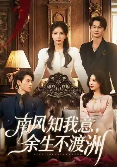 南风知我意，余生不渡洲海报