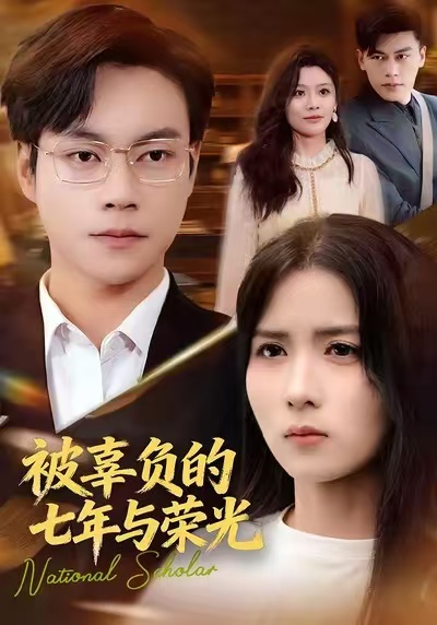 被辜负的七年与荣光海报