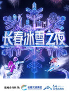 长春冰雪之夜海报