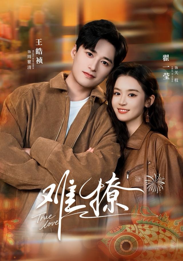 难撩海报