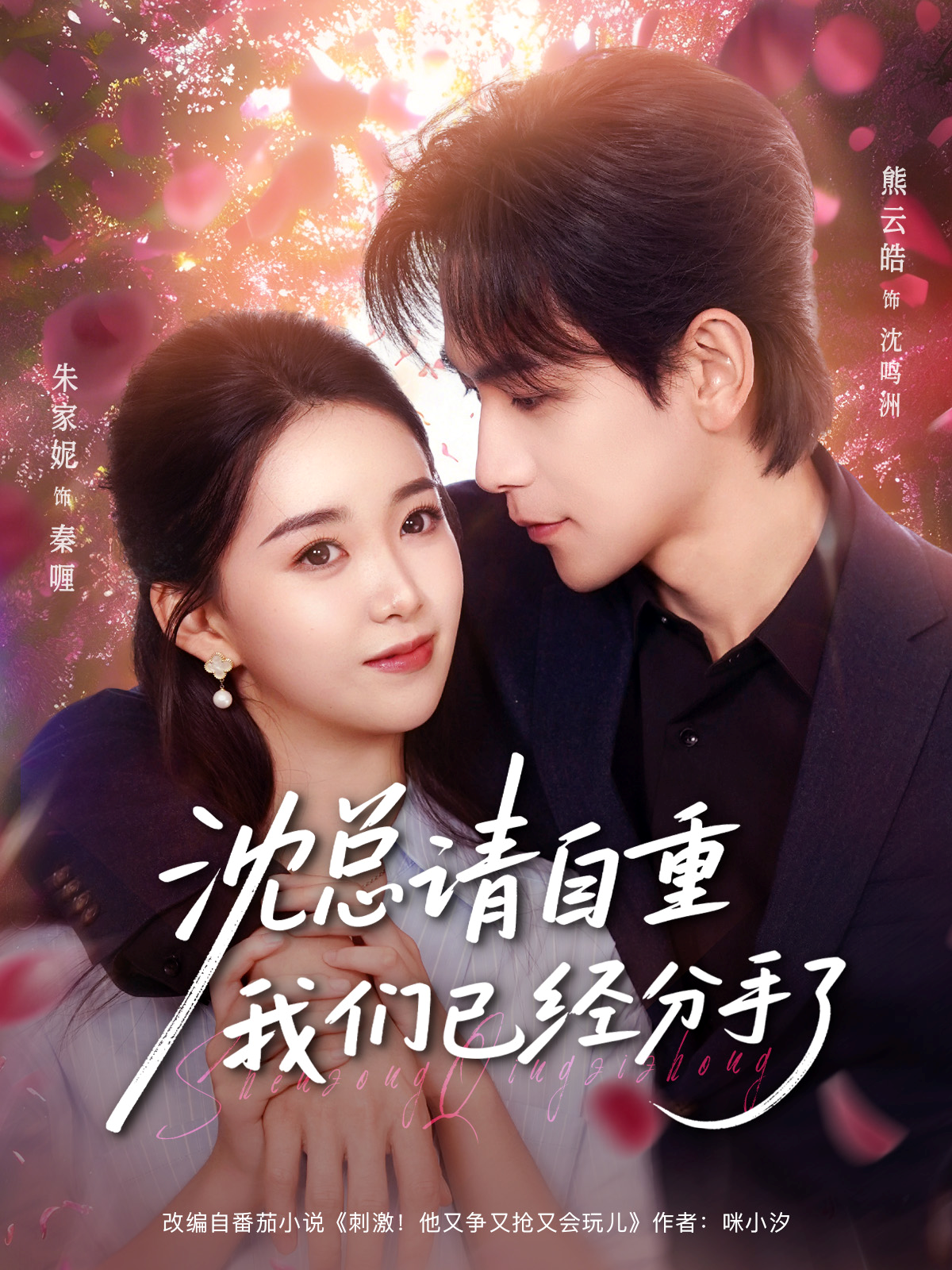 沈总请自重我们已经分手了海报