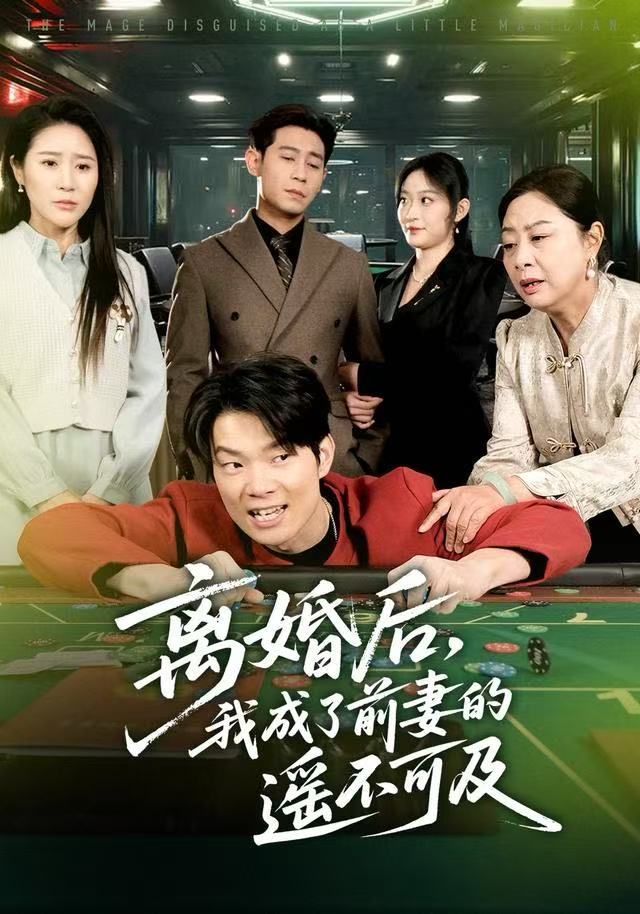 离婚后，我成了前妻的遥不可及海报