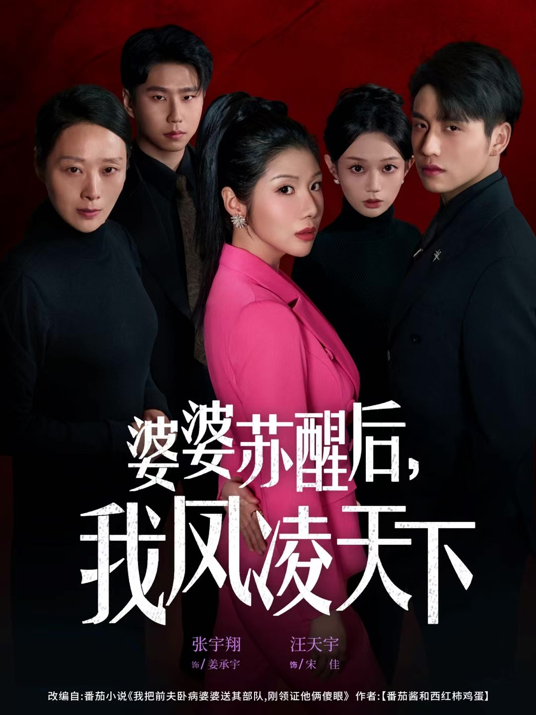 婆婆苏醒后，我凤凌天下海报