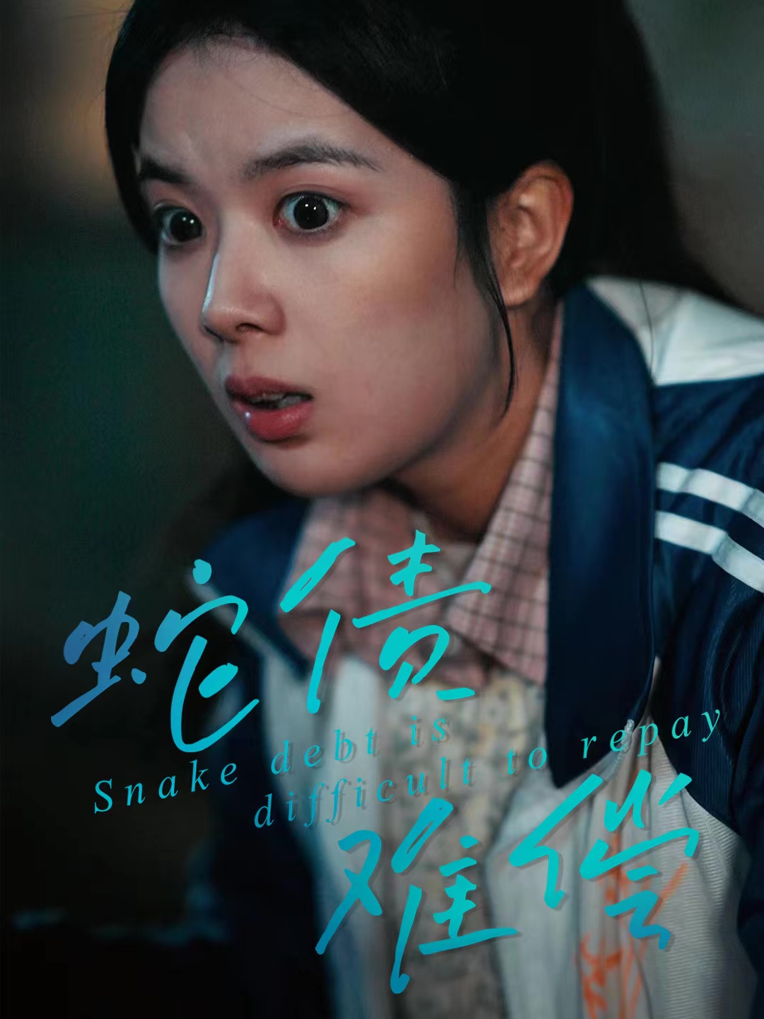 蛇债难偿海报