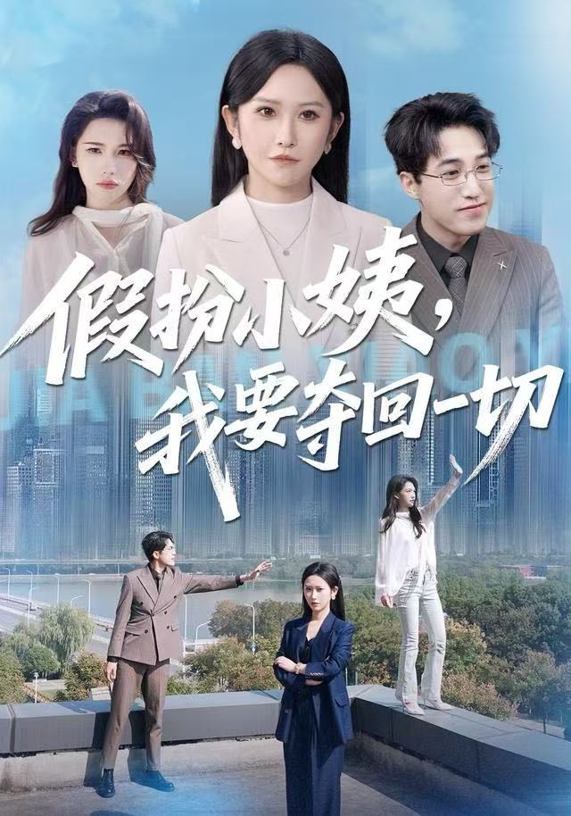 假扮小姨，我要夺回一切海报