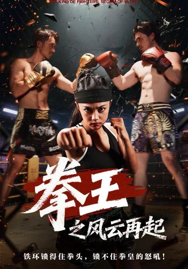 拳王之风云再起海报