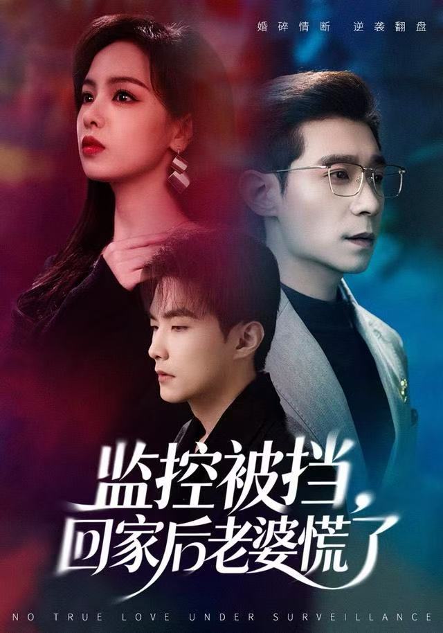 监控被挡，回家后老婆慌了海报