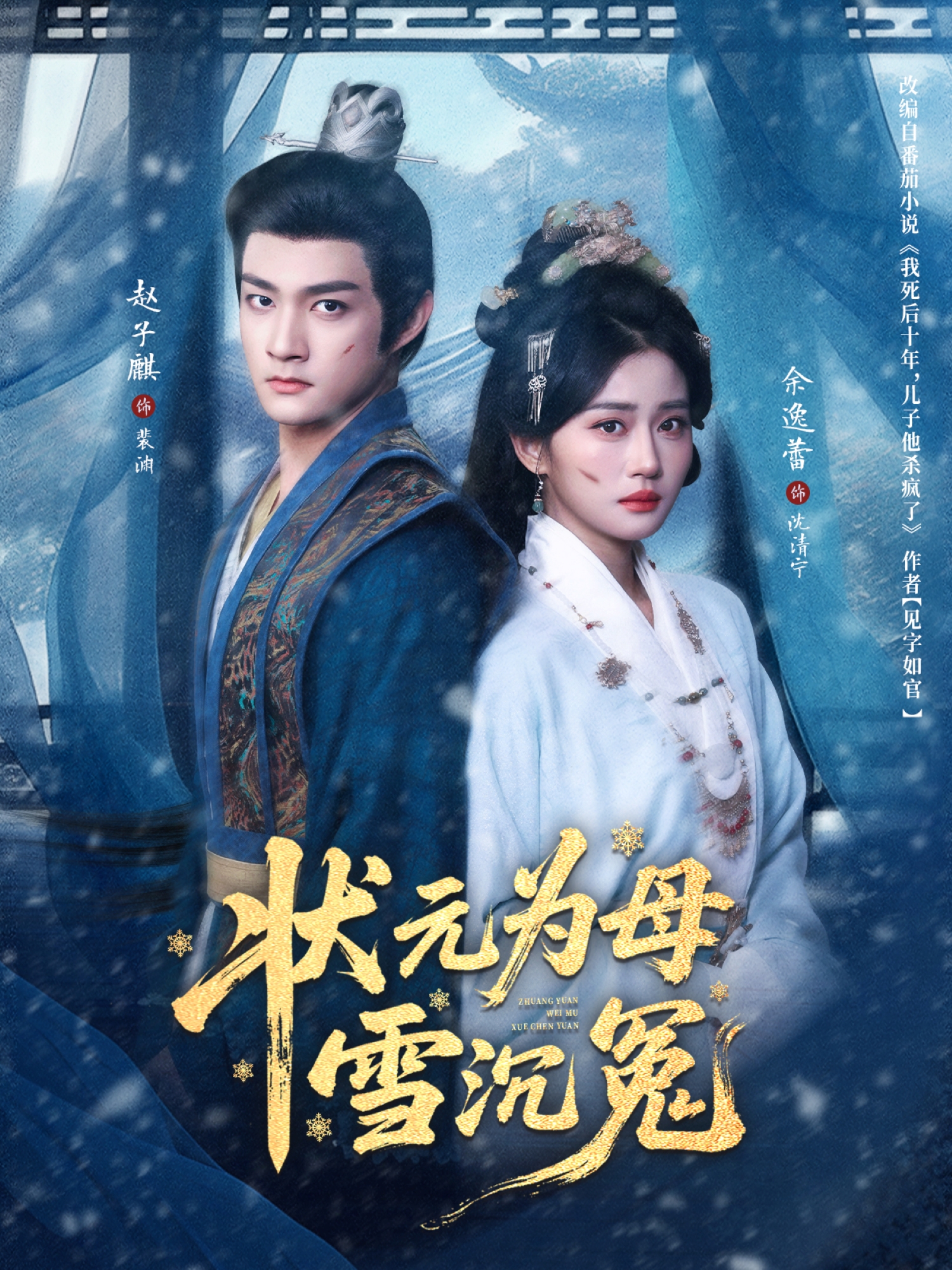 状元为母雪沉冤海报