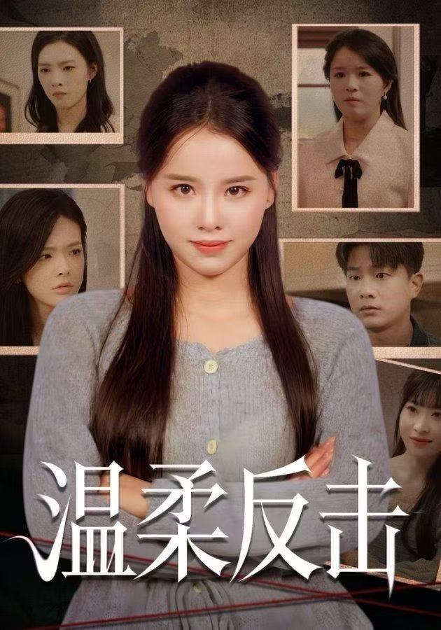 温柔反击海报