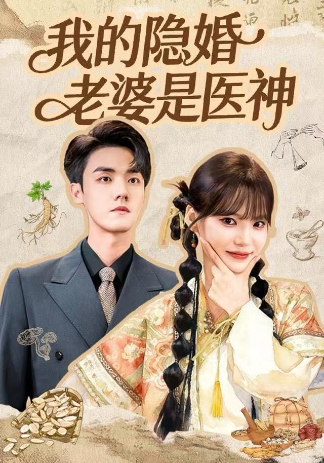 我的隐婚老婆是医神海报