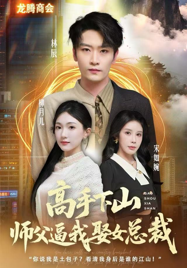 高手下山师父逼我去娶女总裁海报