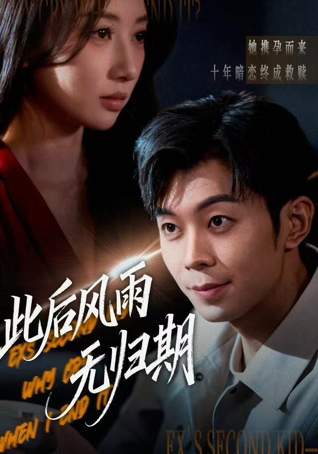 此后风雨无归期海报