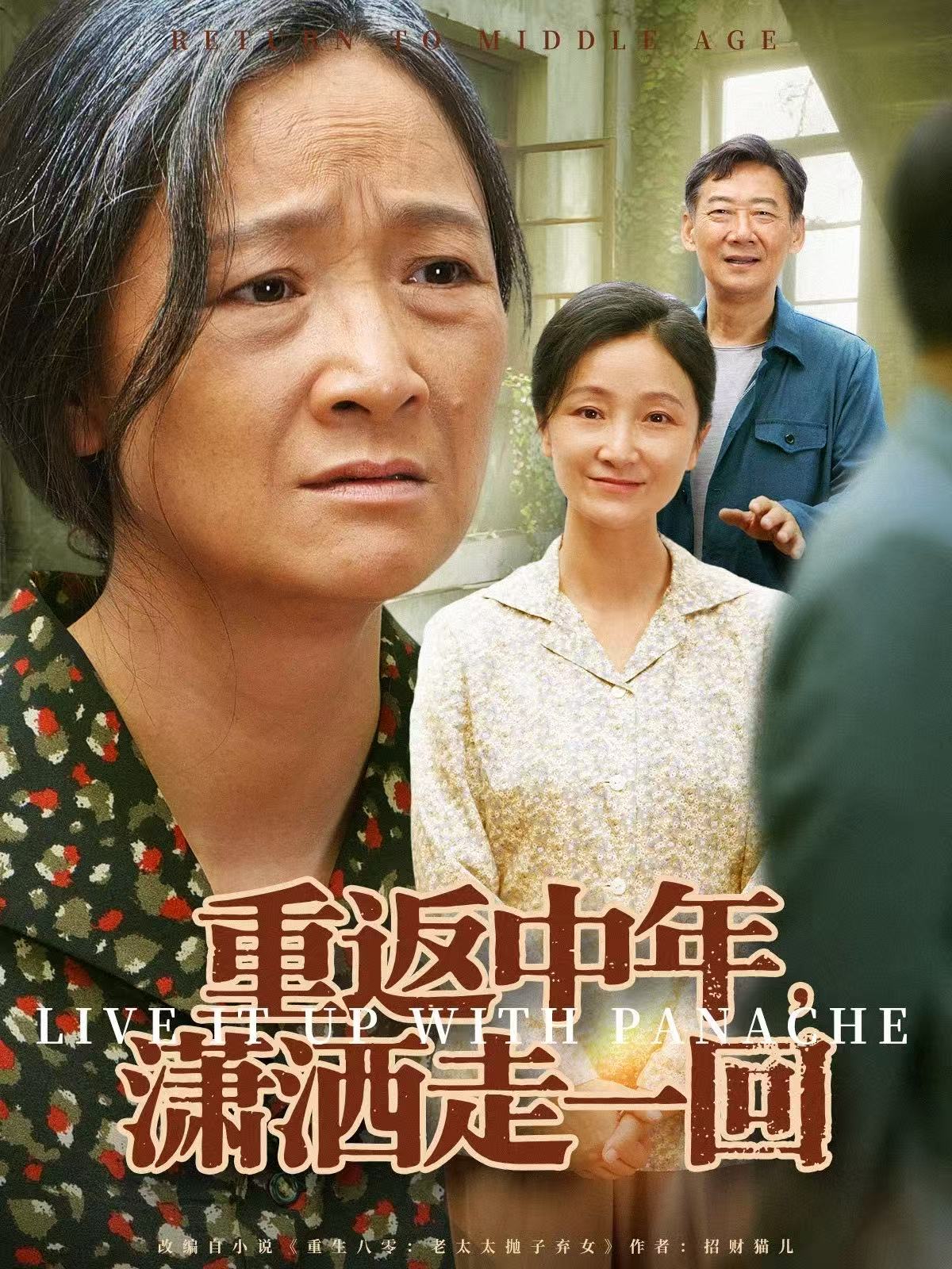 重返中年，潇洒走一回海报