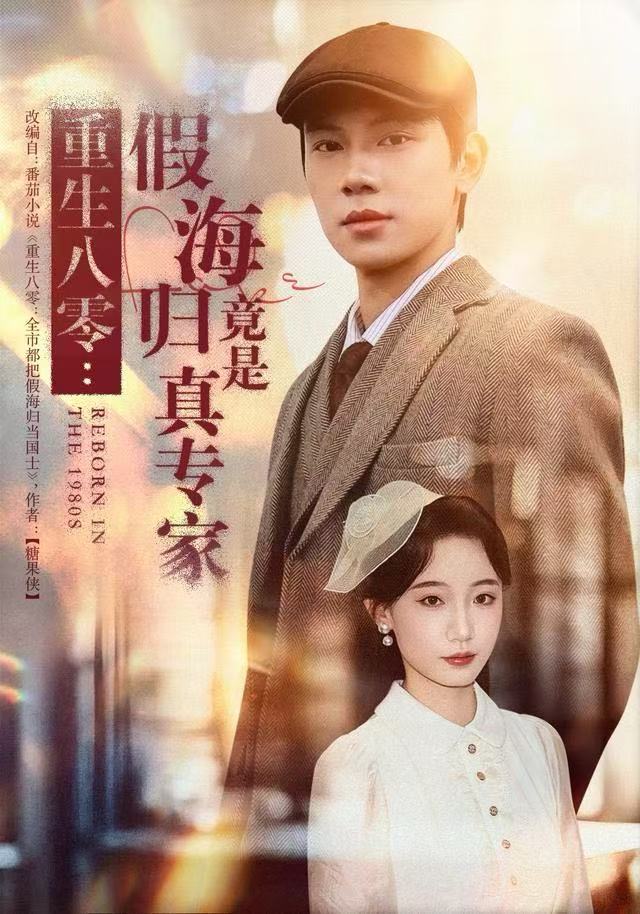 重生八零：假海归竟是真专家海报