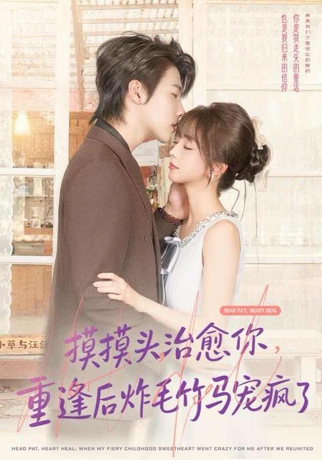 摸摸头，治愈你，重逢后炸毛竹马宠疯了海报