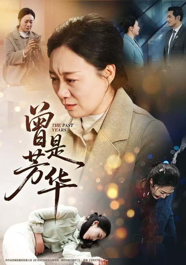曾是芳华海报