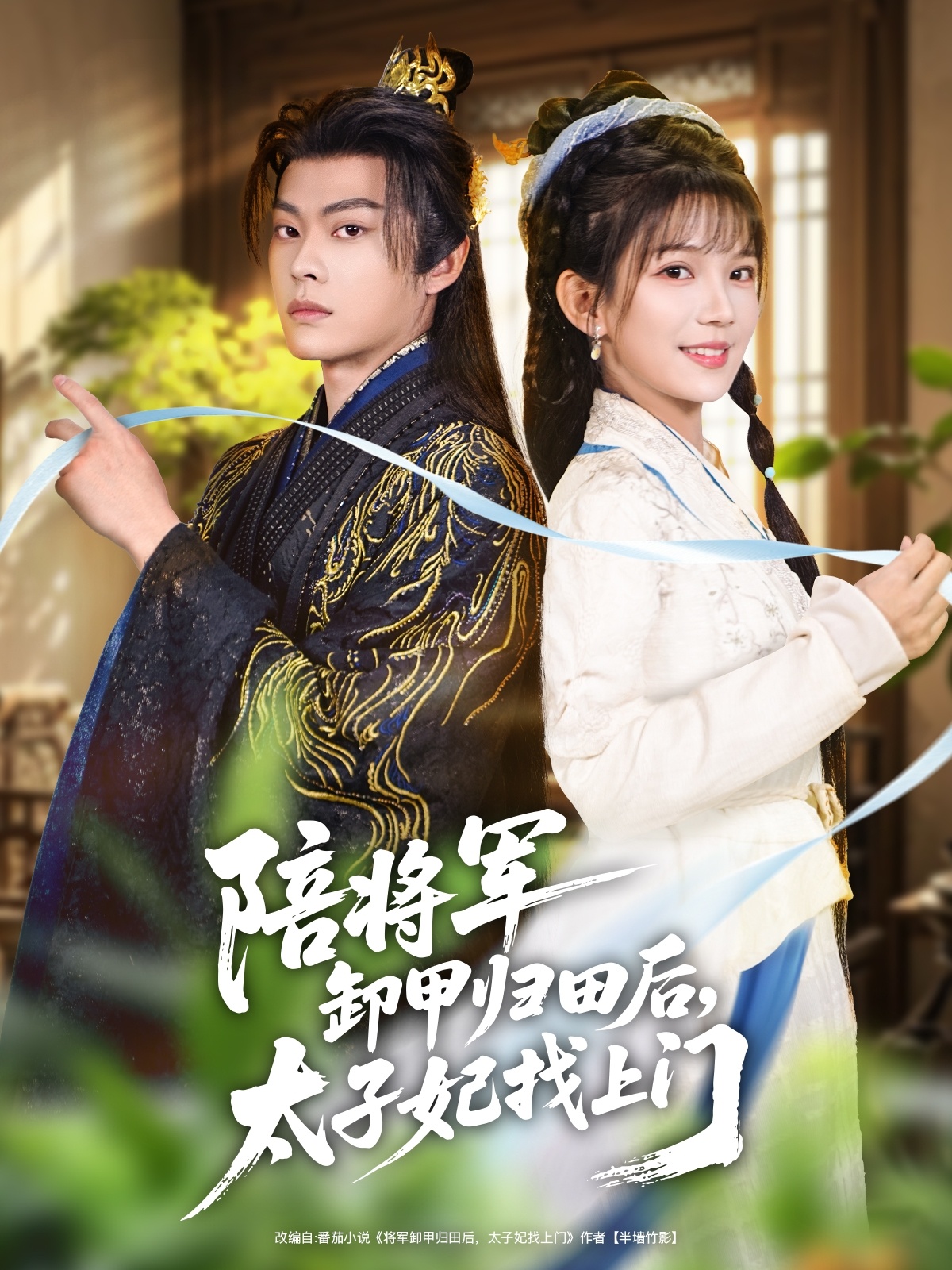 陪将军卸甲归田后，太子妃找上门海报