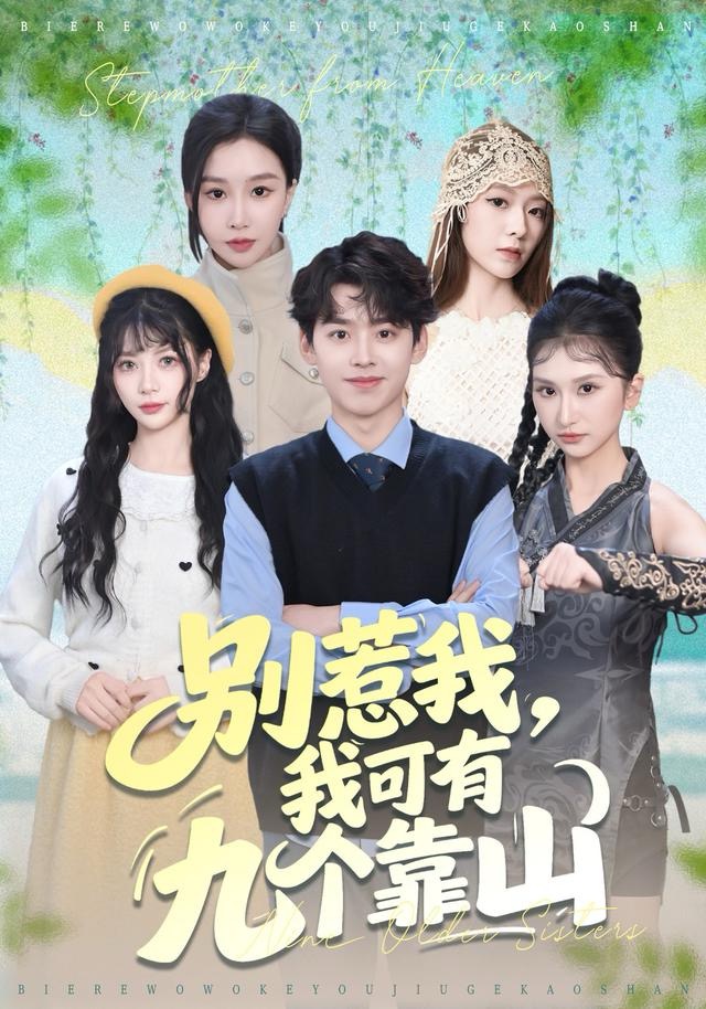 别惹我，我可有九个靠山海报