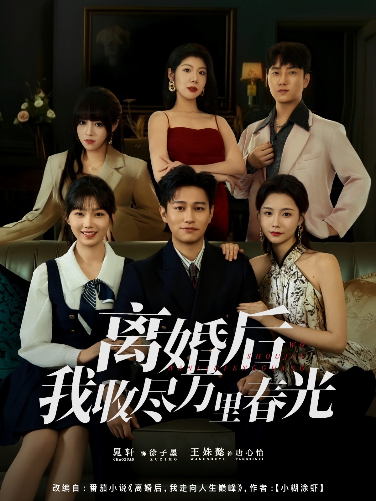离婚后我收尽万里春光海报