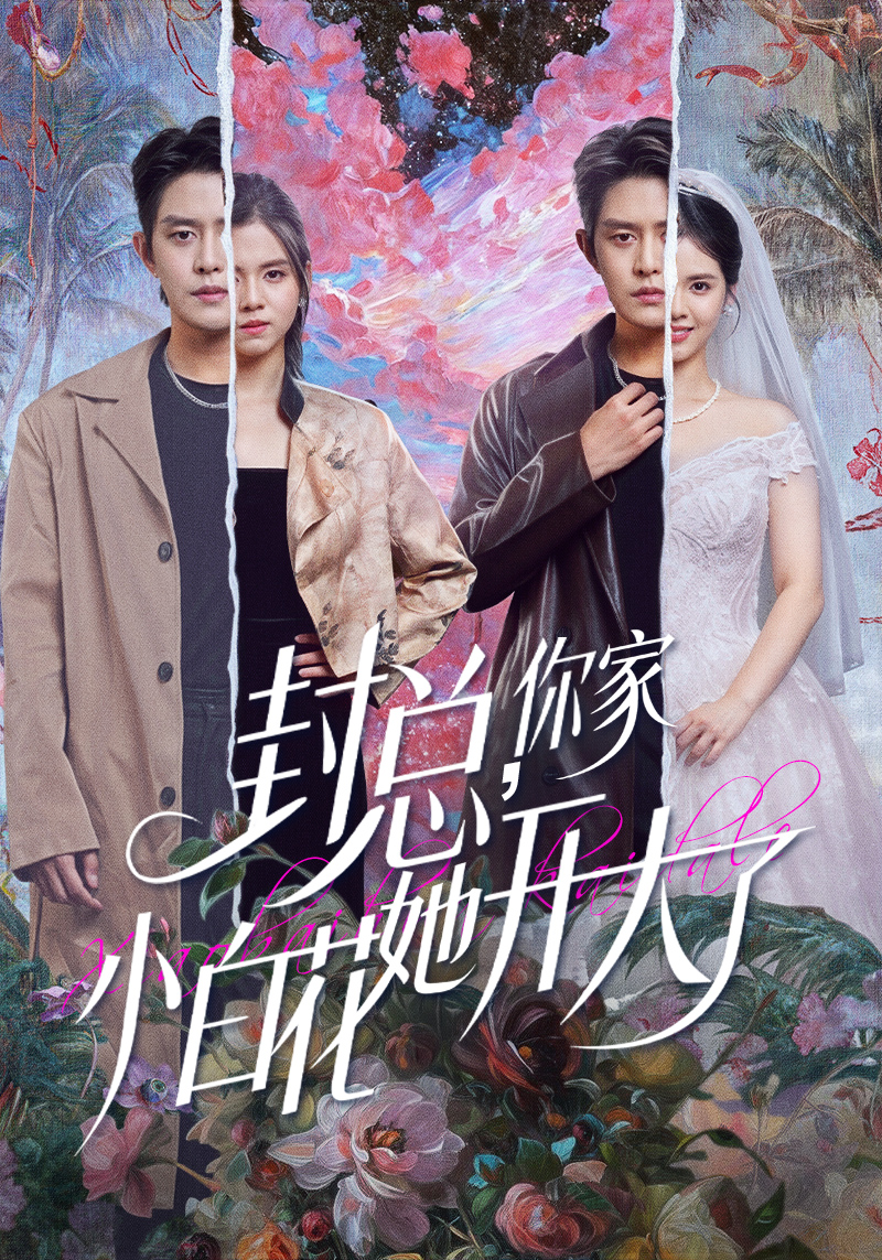 封总，你家小白花她开大了海报