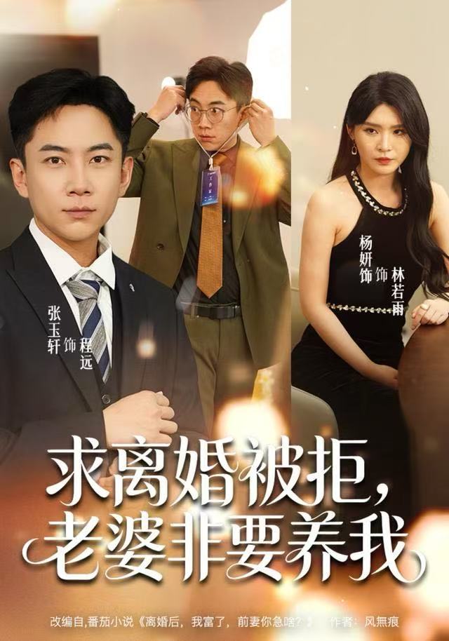 求离婚被拒，老婆非要养我海报