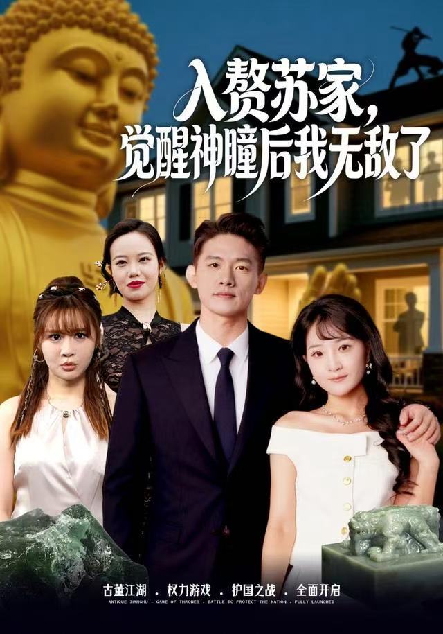 入赘苏家，觉醒神瞳后我无敌了海报