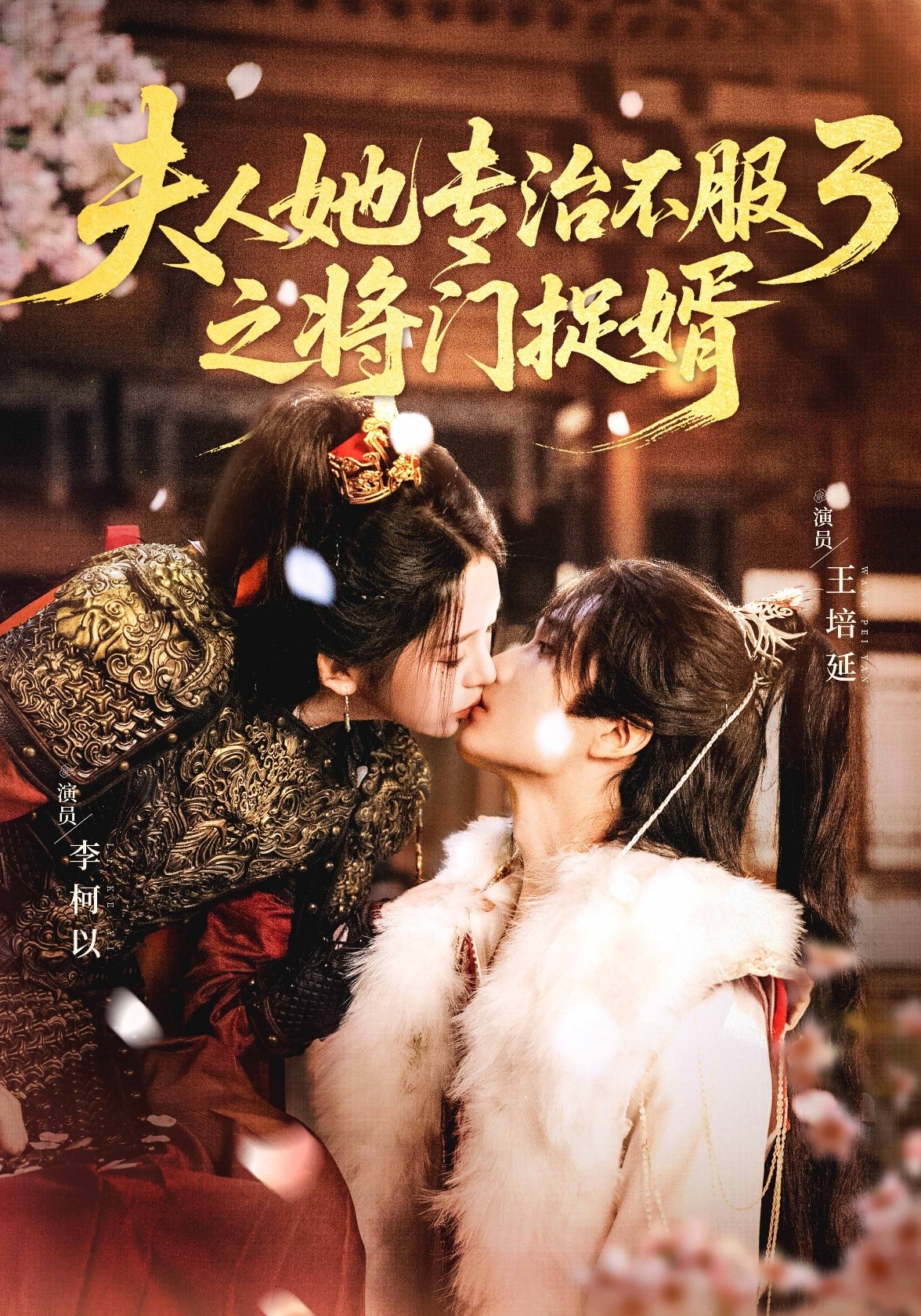 夫人她专治不服3之将门捉婿海报