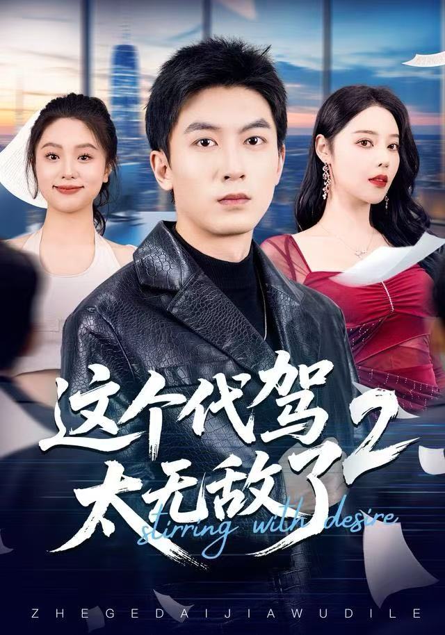 这个代驾太无敌了2海报