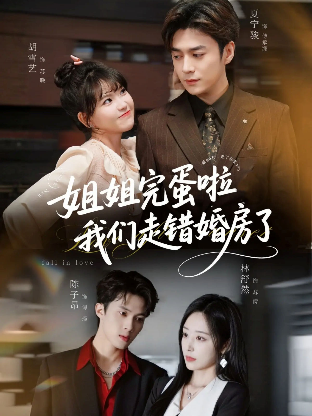 姐姐完蛋啦我们走错婚房了海报