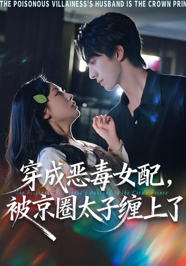穿成恶毒女配被京圈太子缠上了海报