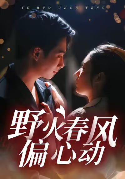 野火春风偏心动海报