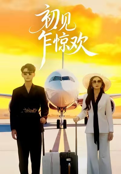 初见乍惊欢海报