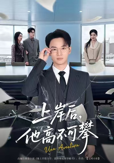 上岸后，他高不可攀海报