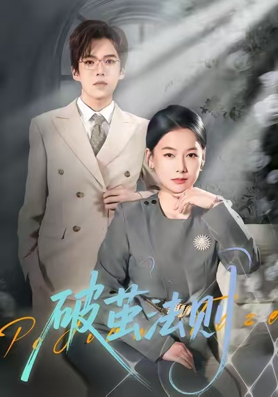 破茧法则海报