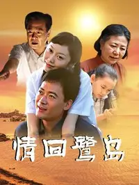 情回鹭岛海报