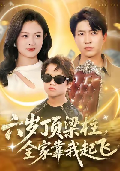 六岁顶梁柱，全家靠我起飞海报